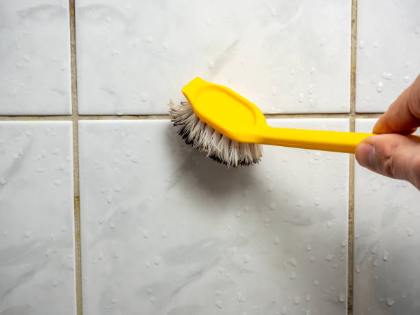Best Same-Day Mold Removal  in Wabasso Beach, FL