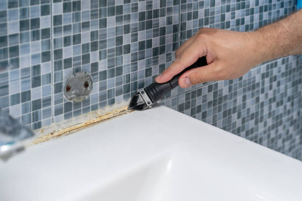 Best Affordable Mold Removal  in Wabasso Beach, FL
