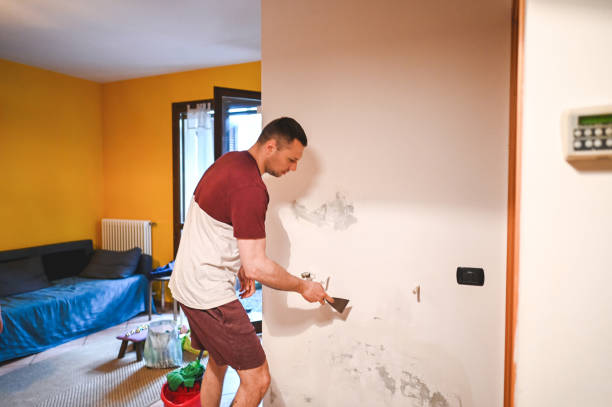 Best Residential Mold Removal  in Wabasso Beach, FL